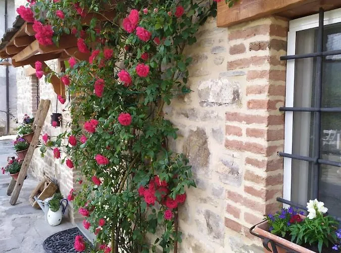 Bed & Breakfast La Corte Dei Cerri *