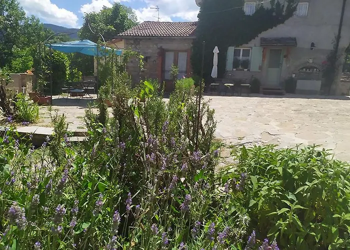 Bed & Breakfast La Corte Dei Cerri *