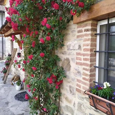 Oda ve Kahvaltı La Corte Dei Cerri *