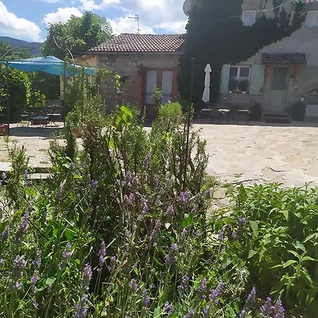 Bed & Breakfast La Corte Dei Cerri *